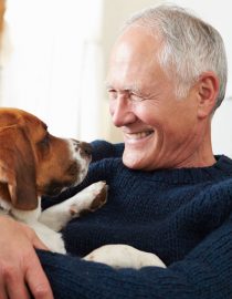 Pets for Alzheimer’s Patients Provide Huge Benefits Pets for Alzheimer’s Patients Provide Huge Benefits