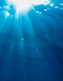 Can Blue Light Help Someone With Alzheimer’s? Can Blue Light Help Someone With Alzheimer’s?