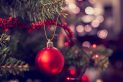Surviving the Holidays With Alzheimer’s