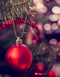 Surviving the Holidays With Alzheimer’s Surviving the Holidays With Alzheimer’s