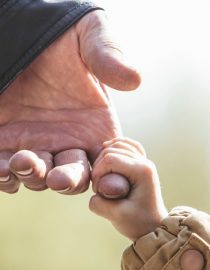 Is Alzheimer’s Disease Genetic? Is Alzheimer’s Disease Genetic?